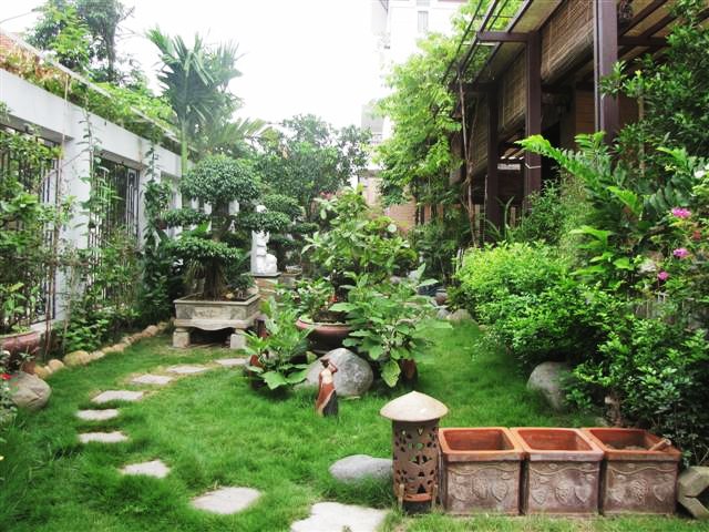 dịch vụ chăm sóc sân vườn Phú Mỹ Hưng