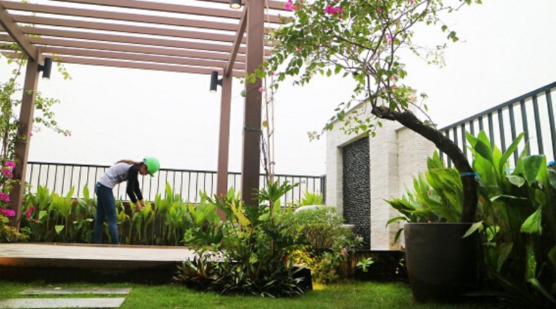 dịch vụ chăm sóc sân vườn quán cafe
