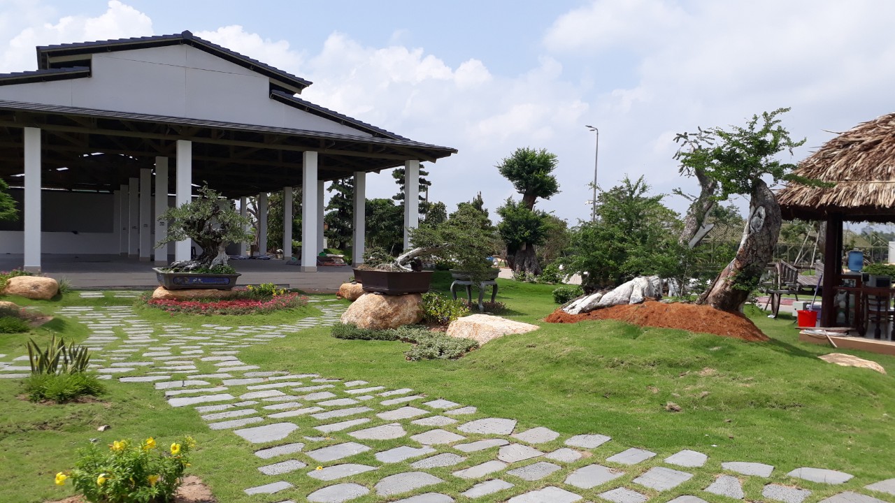 dịch vụ chăm sóc sân vườn tại Bình Dương