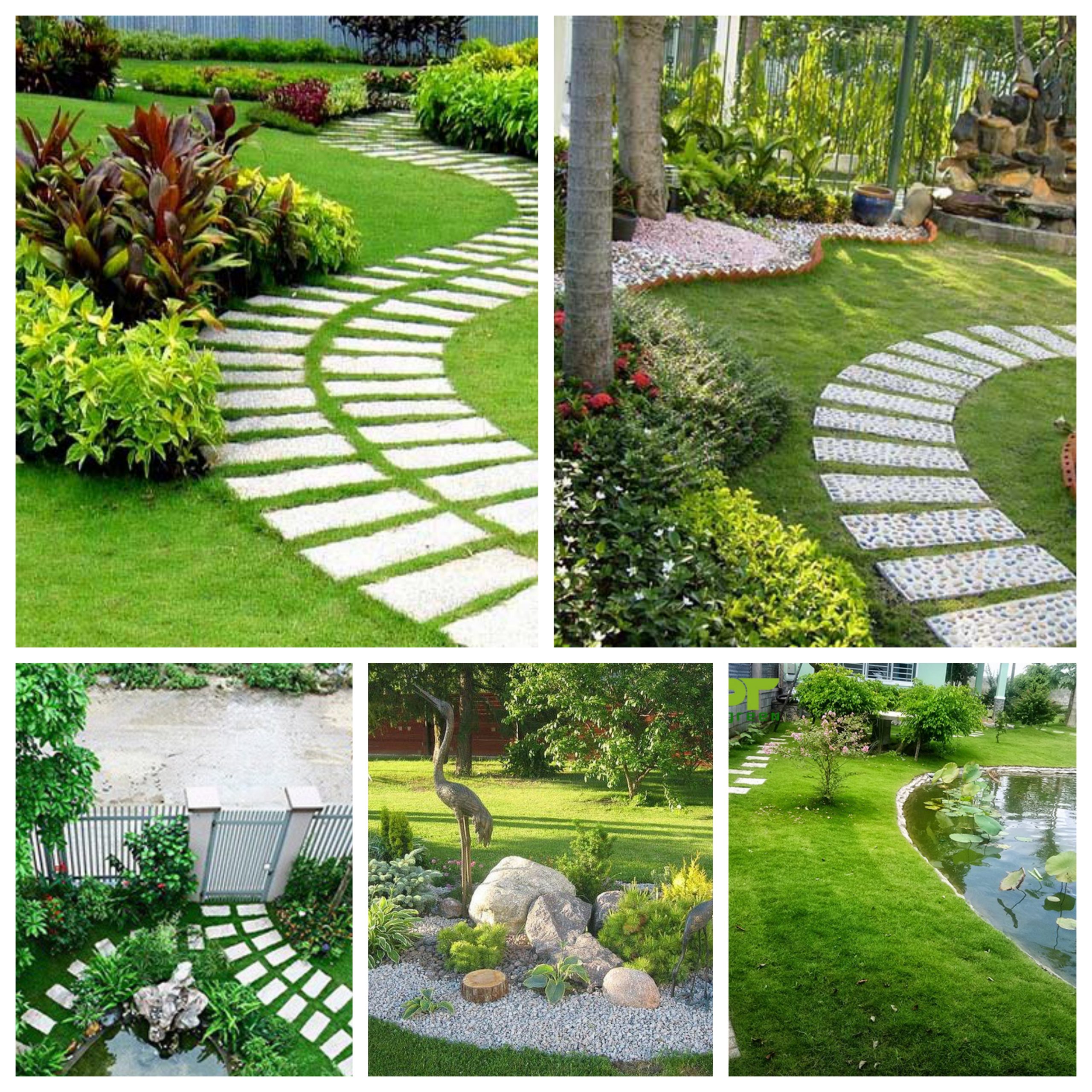 dịch vụ chăm sóc sân vườn tại Bình Tân
