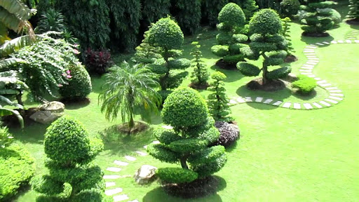 dịch vụ chăm sóc sân vườn tại Nhà Bè