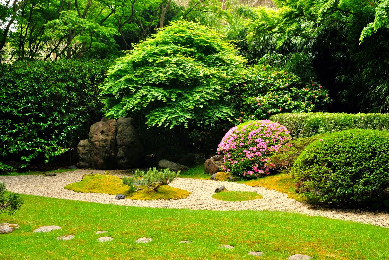 dịch vụ chăm sóc sân vườn tại quận 2