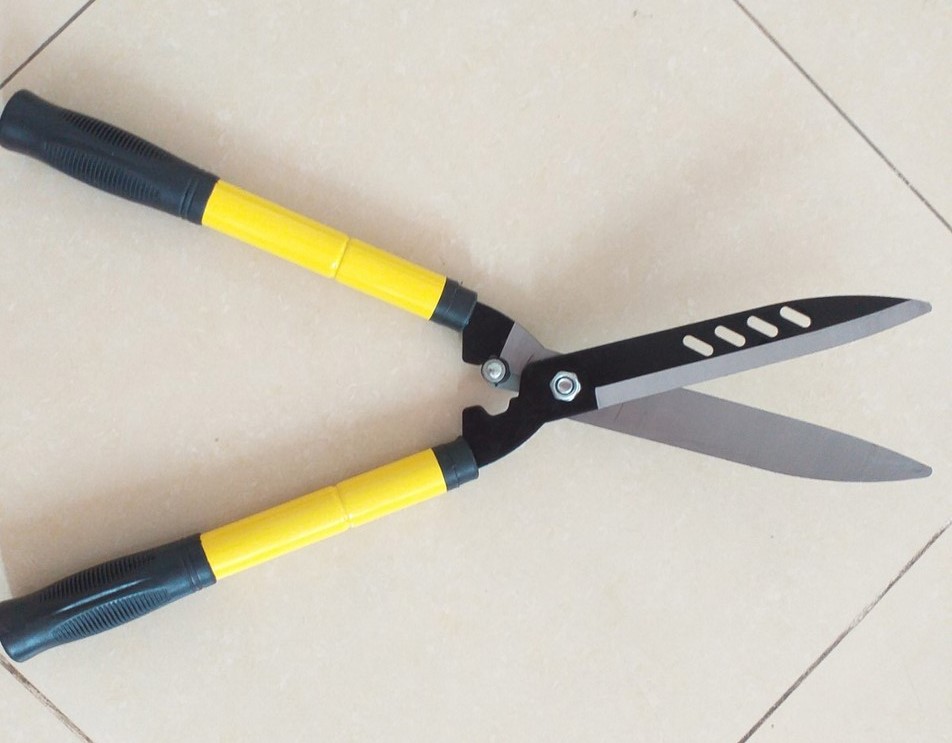 dịch vụ chăm sóc sân vườn tại quận 9
