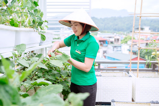 dịch vụ chăm sóc sân vườn tại Thuận An