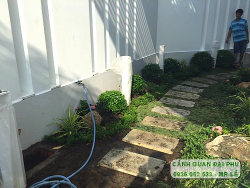 dịch vụ chăm sóc sân vườn Thủ Đức