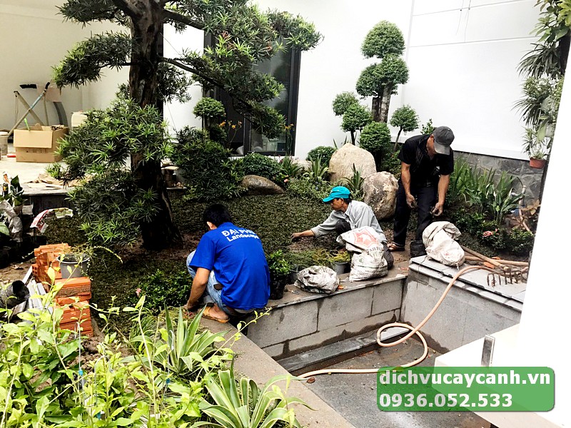 dịch vụ chăm sóc sân vườn Tp Thủ Đức
