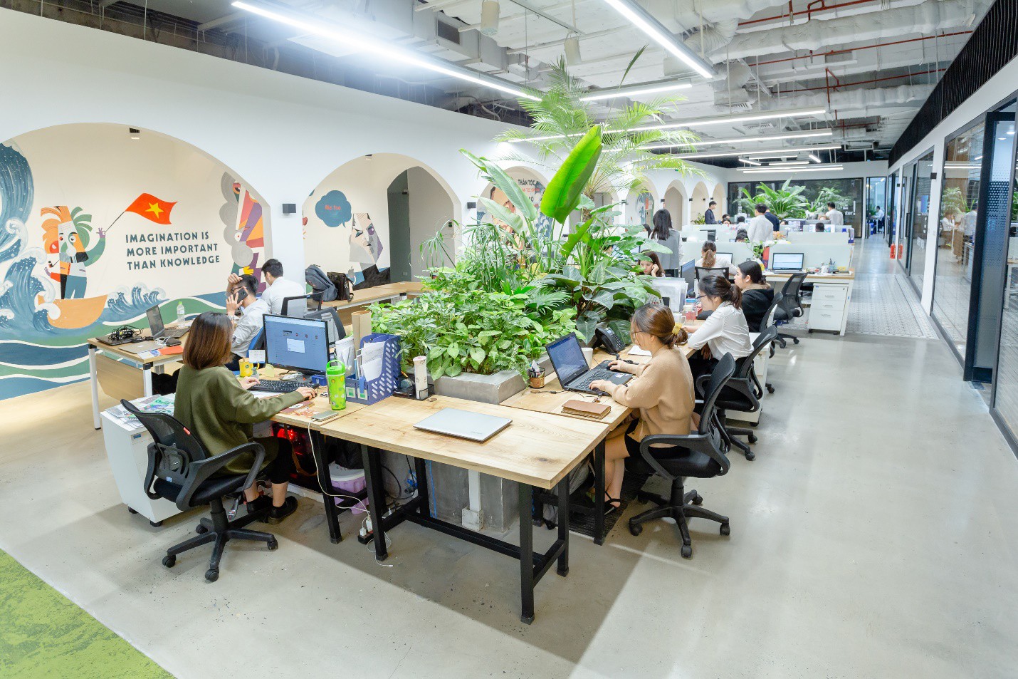 giá thuê cây cảnh văn phòng