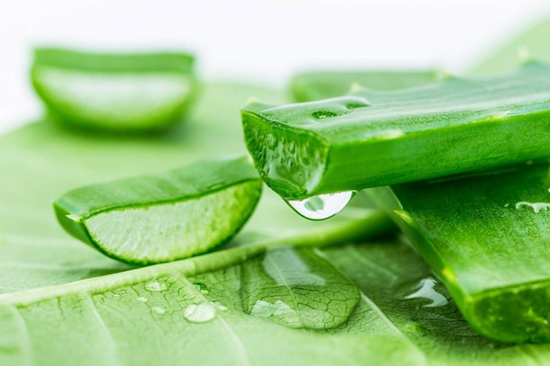 Nha đam chứa nhiều vitamin, khoáng chất và hoạt chất có lợi cho cơ thể.