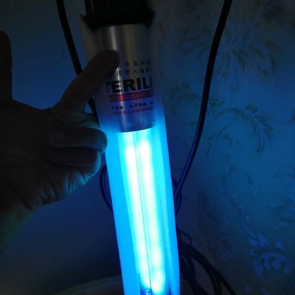 Sử dụng đèn UV là cách xử lý hồ cá koi bị rêu xanh hiệu quả cho những hồ cá ngoài trời