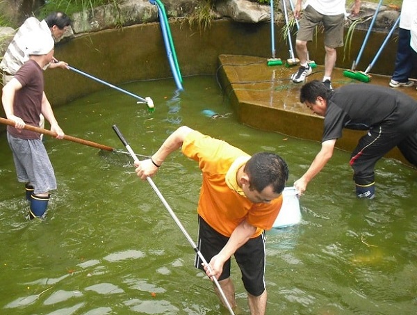 Cách xử lý hồ cá koi bị rêu xanh thủ công tốn kém rất nhiều thời gian và công sức