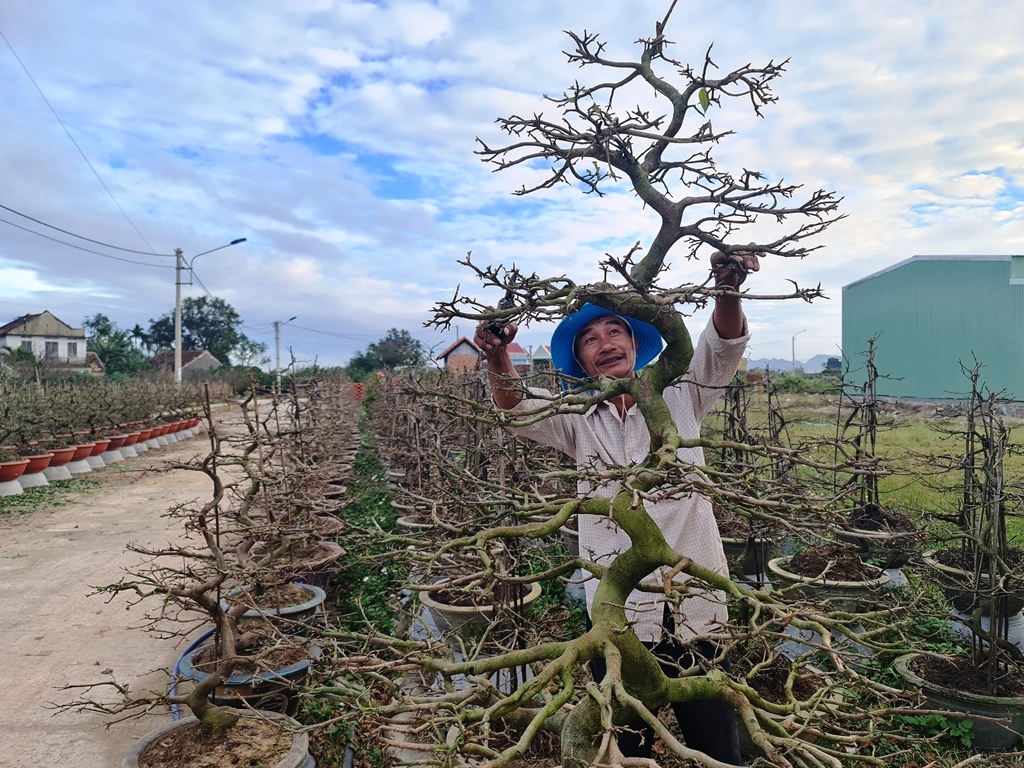  Kỹ thuật uốn cây cảnh hình con vật