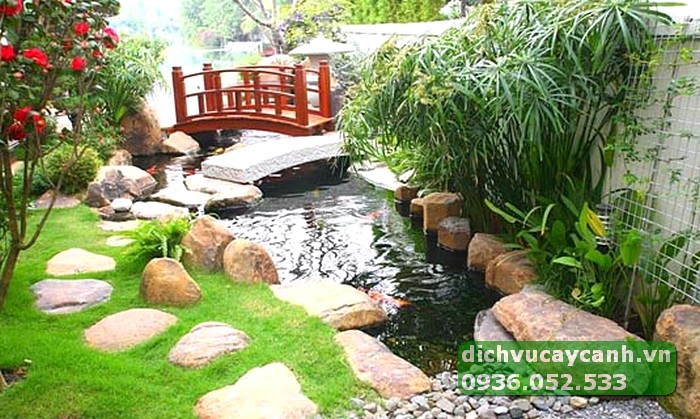 làm trong nước hồ cá koi ngoài trời hiệu quả