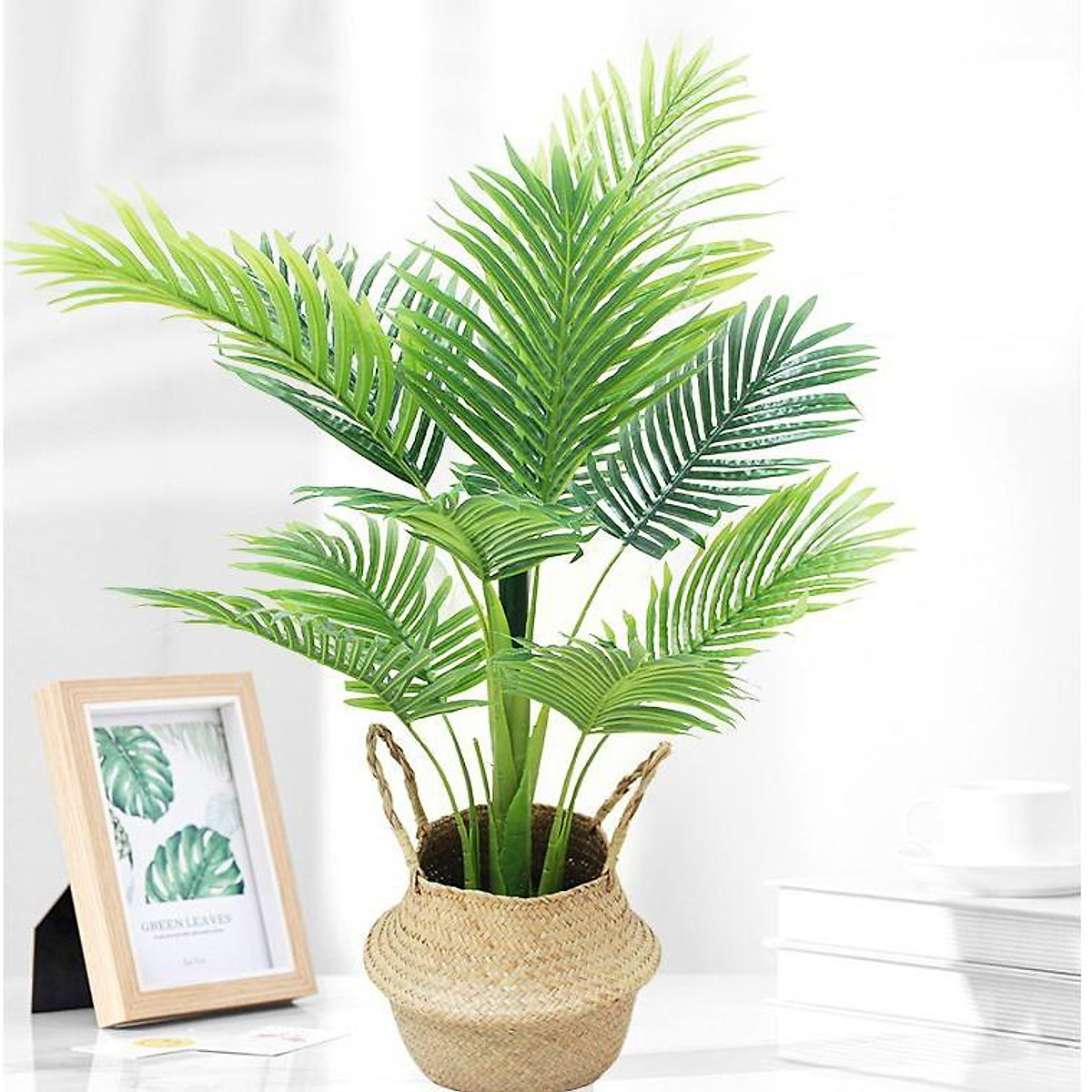 Lợi ích vượt trội của cây dừa cảnh để bàn làm việc