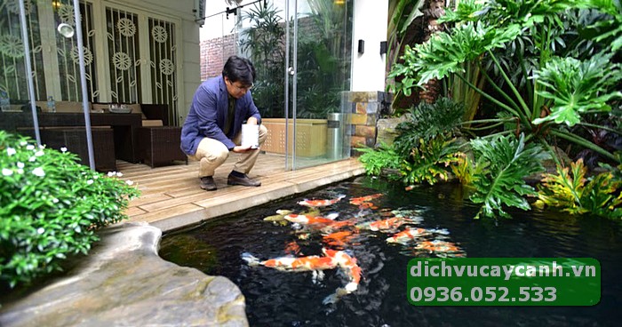 mẫu hồ cá koi ấn tượng dành cho nhà phố.