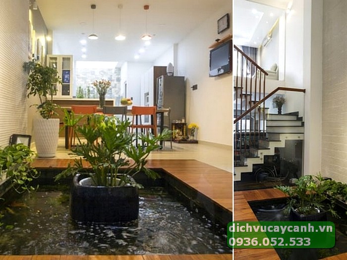mẫu hồ cá koi ấn tượng dành cho nhà phố.