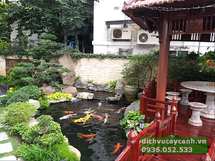 thi công hồ cá koi gia rẻ tại Tp Thủ Đức