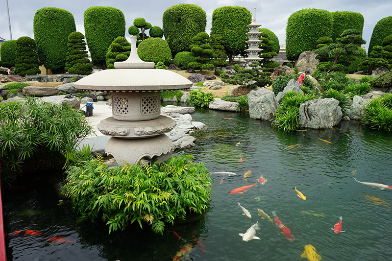 mẫu hồ cá sân vườn