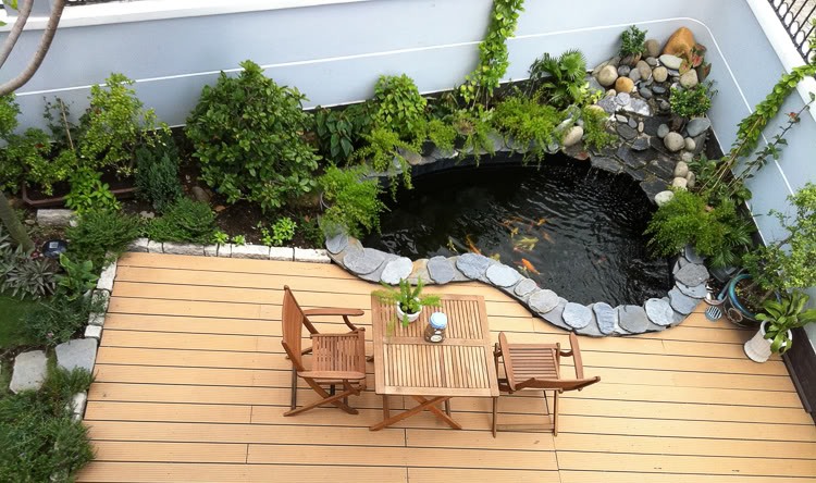 mẫu hồ cá sân vườn