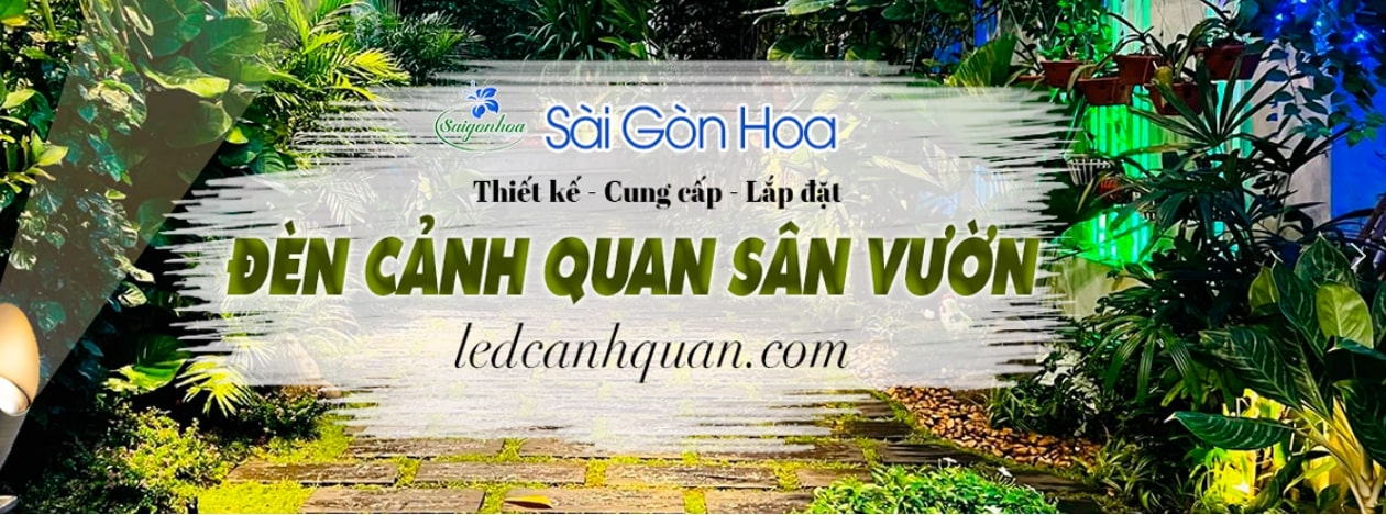 nơi cung cấp cây cảnh uy tín