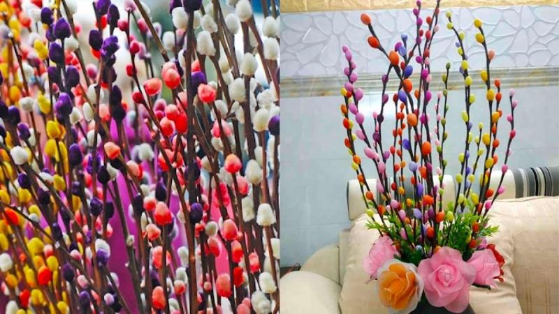 Nụ tầm xuân để được bao lâu?