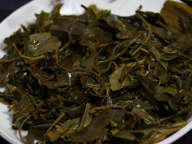 Tác dụng tuyệt vời của bã chè xanh bón cây