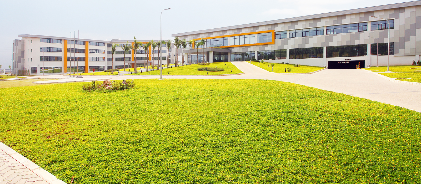 thầu chăm sóc cảnh quan khu công nghiệp