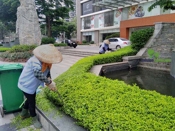 thầu chăm sóc cảnh quan khu đô thị