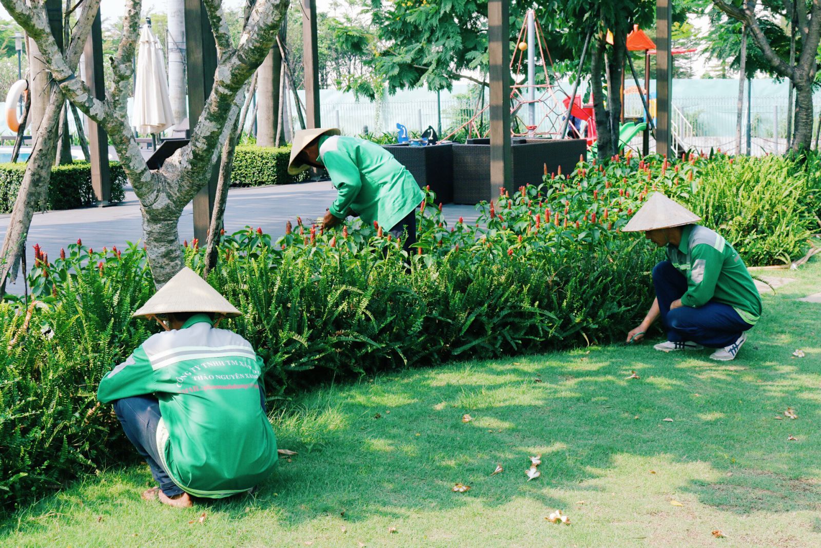 thầu chăm sóc cảnh quan khu đô thị