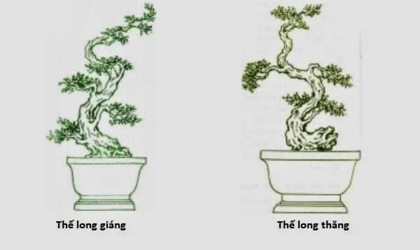 Thế mai long thăng tượng trưng cho công danh thăng tiến và phát triển.