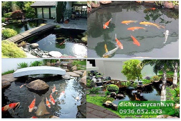 thi công bể cá koi tại Tp Thủ Đức