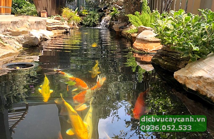 thi công hồ cá cảnh TP Thủ Đức