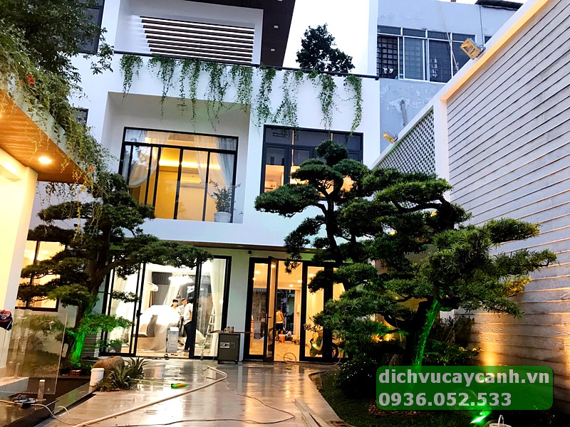 thi công sân vườn biệt thự Thủ Đức trọn gói
