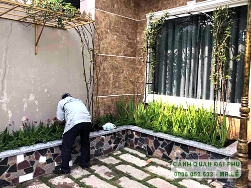 thi công sân vườn nhà phố Thủ Đức trọn gói