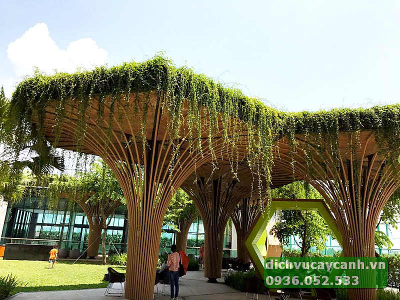 Thi công sân vườn biệt thự Thủ Đức uy tín
