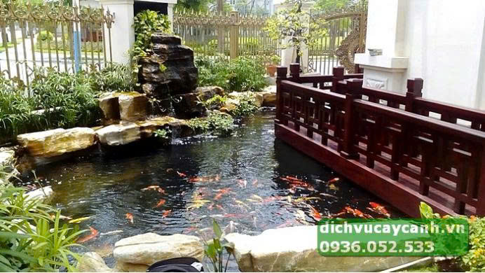 Thay nước định kỳ nhưng giữ lại vi sinh để hồ luôn ổn định