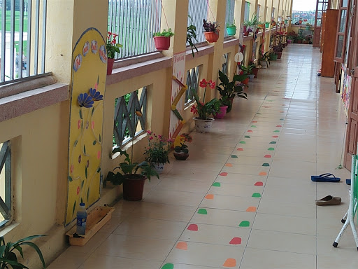 trang trí cây xanh cho lớp học