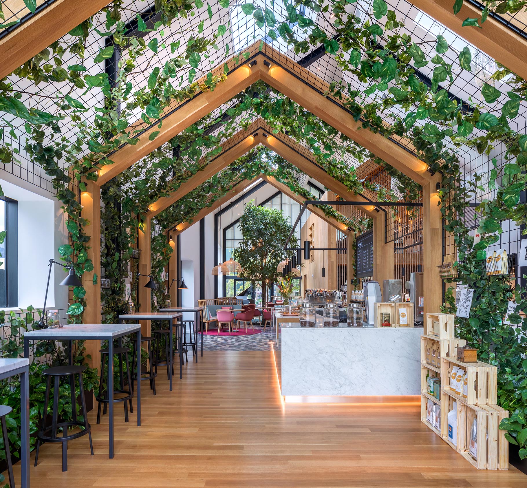 trang trí cây xanh cho quán cafe