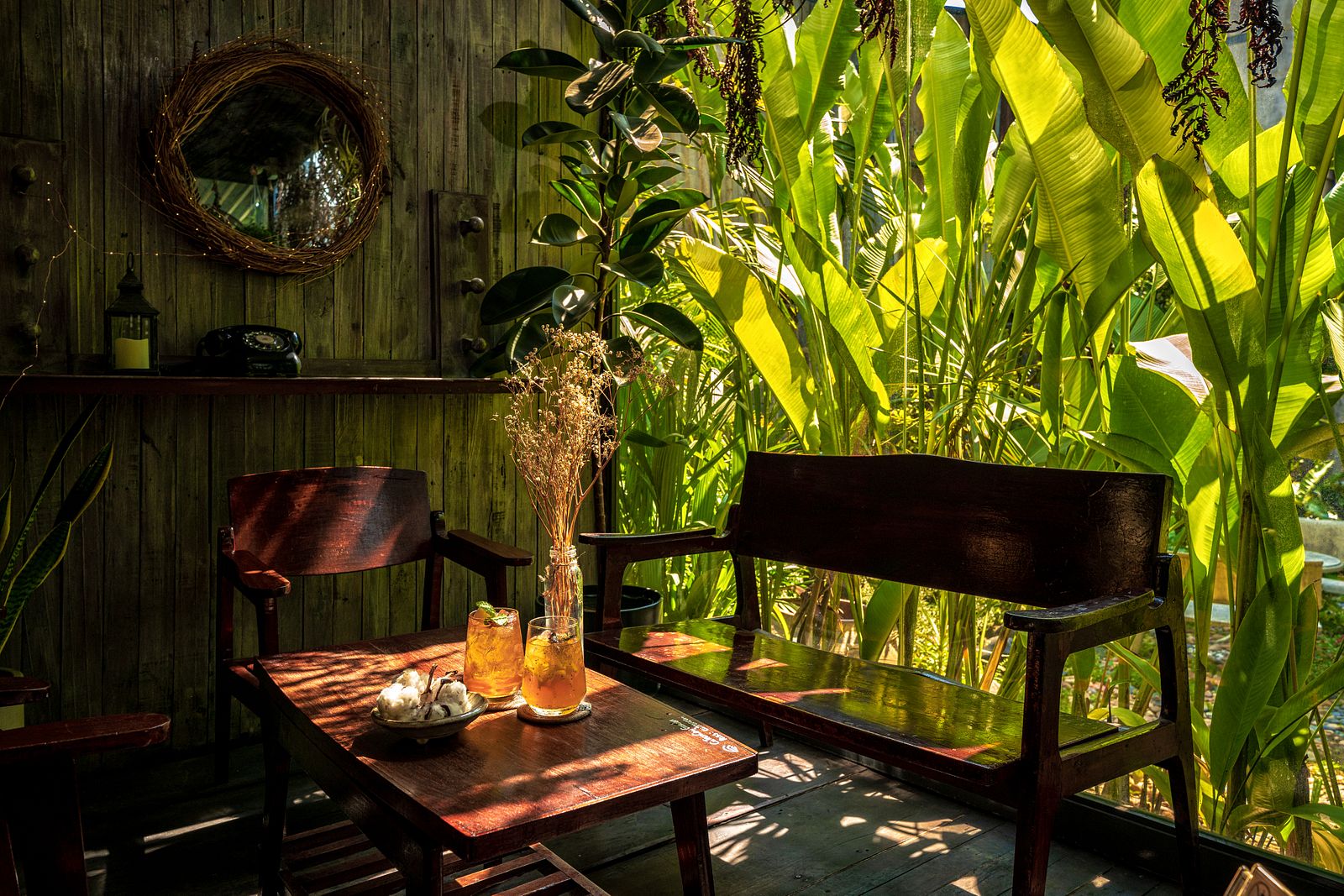 trang trí cây xanh cho quán cafe
