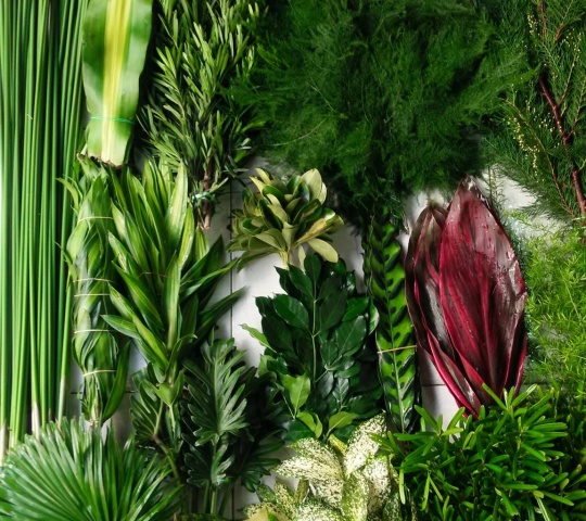 Lá cắm hoa giúp tạo điểm nhấn và làm nổi bật bình hoa.