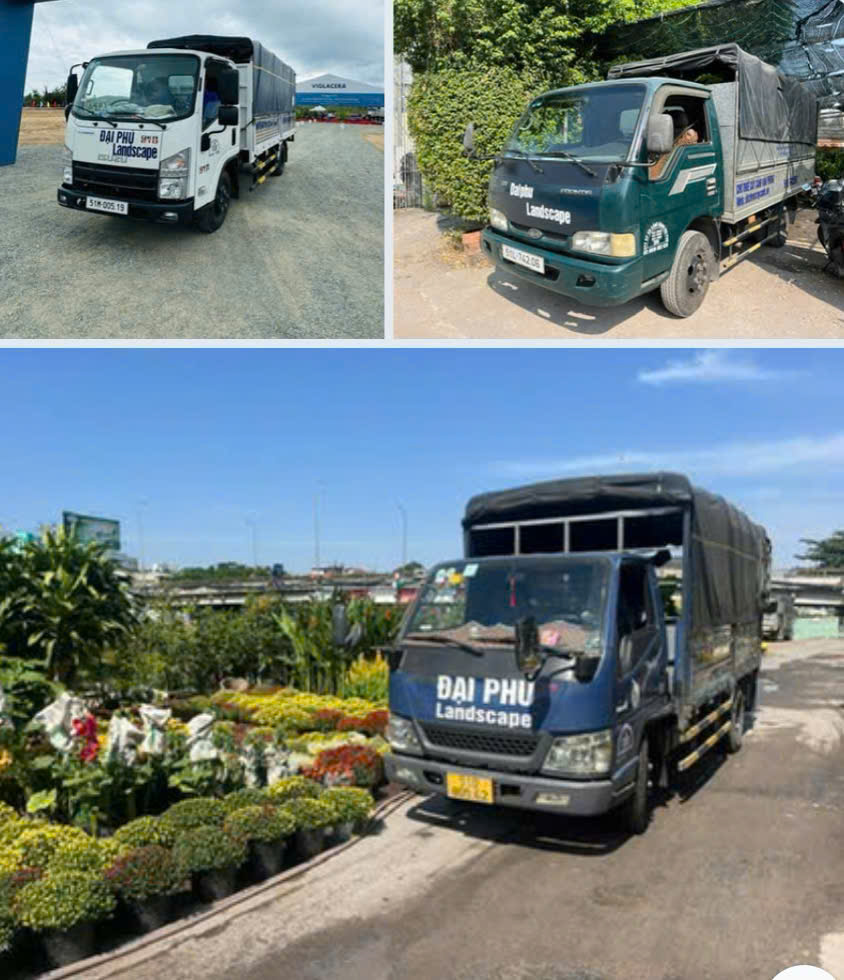 Dịch vụ thiết kế thi công cảnh quan tại Cảnh Quan Đại Phú